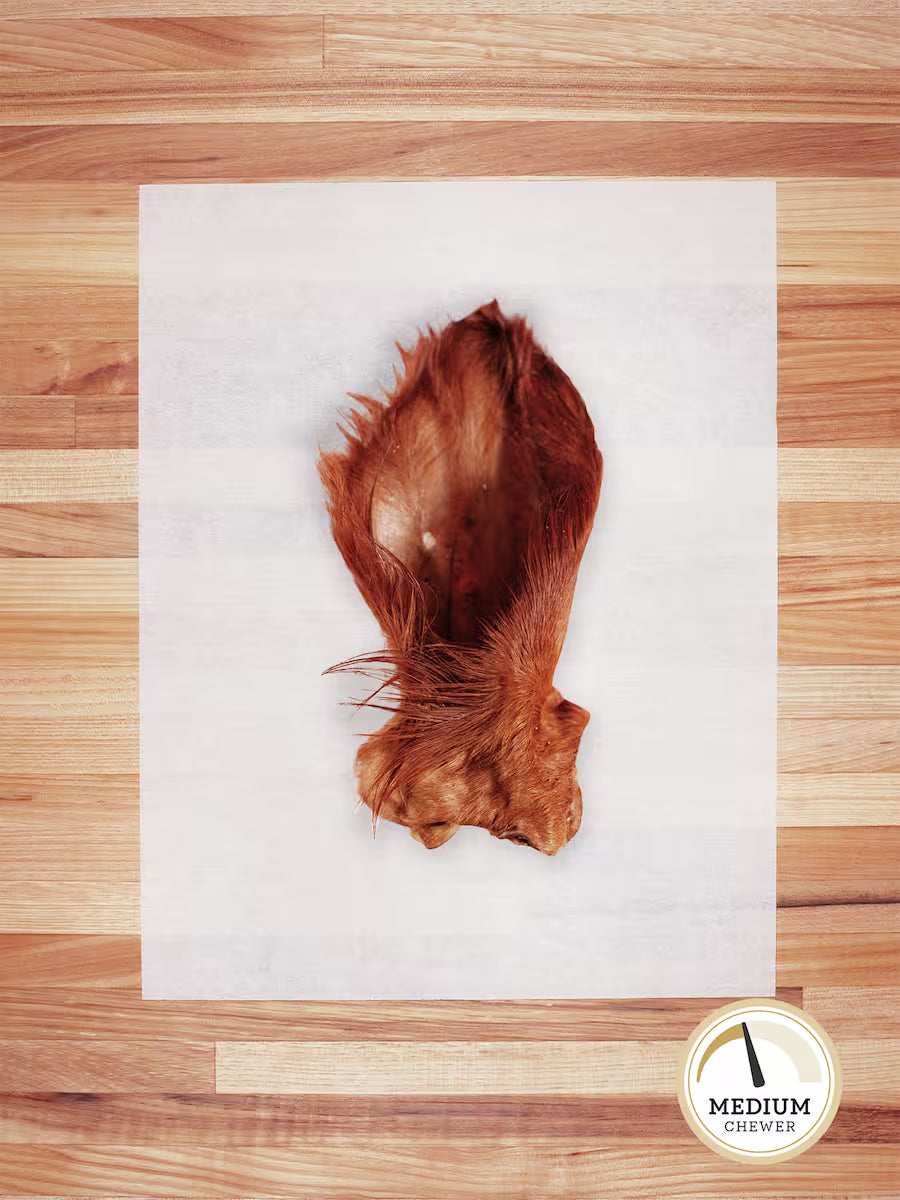 Beef Heart — single ingredient dog treat