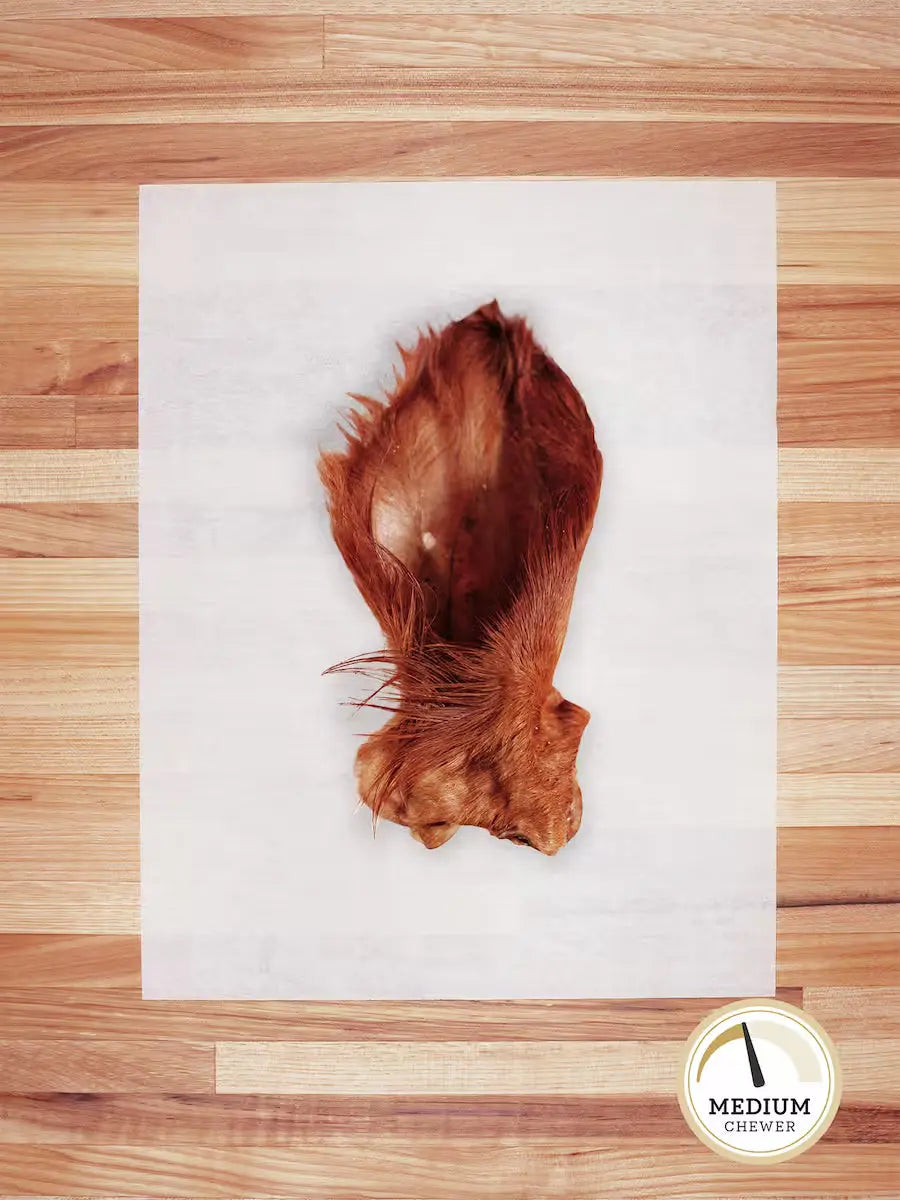 Beef Heart — single ingredient dog treat