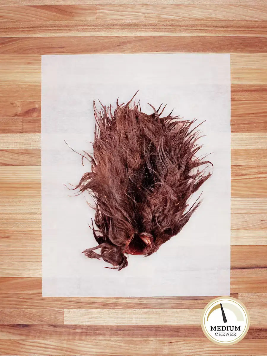 Bison Ear (Hairy)
