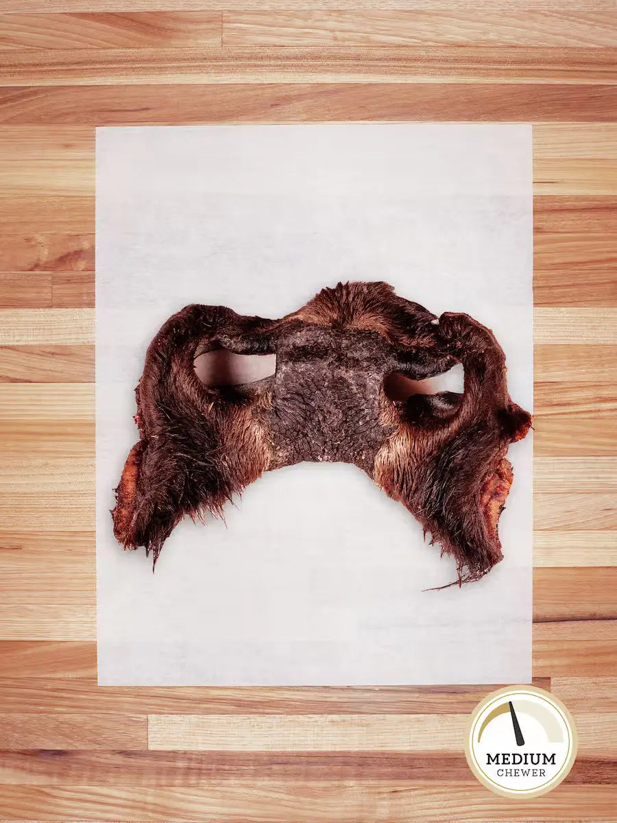 Bison Snout (Hairy)