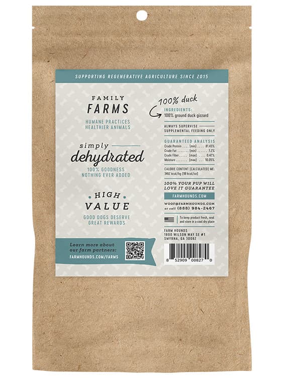 Duck Gizzard Trainers