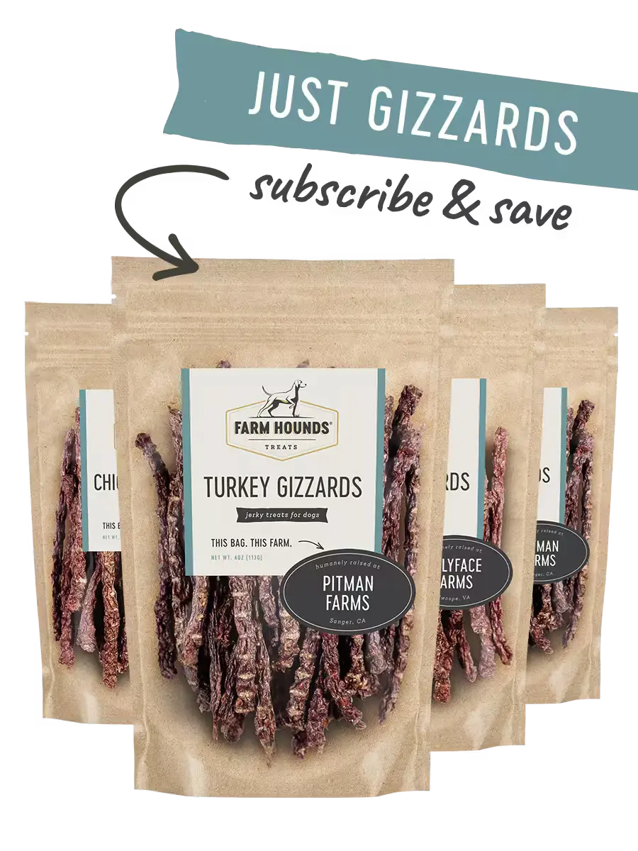 Just Gizzard Sticks Box