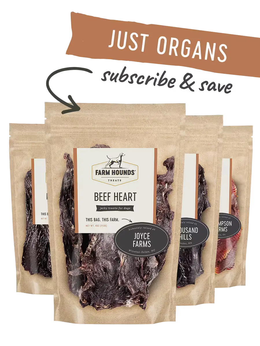 Just Organs Box