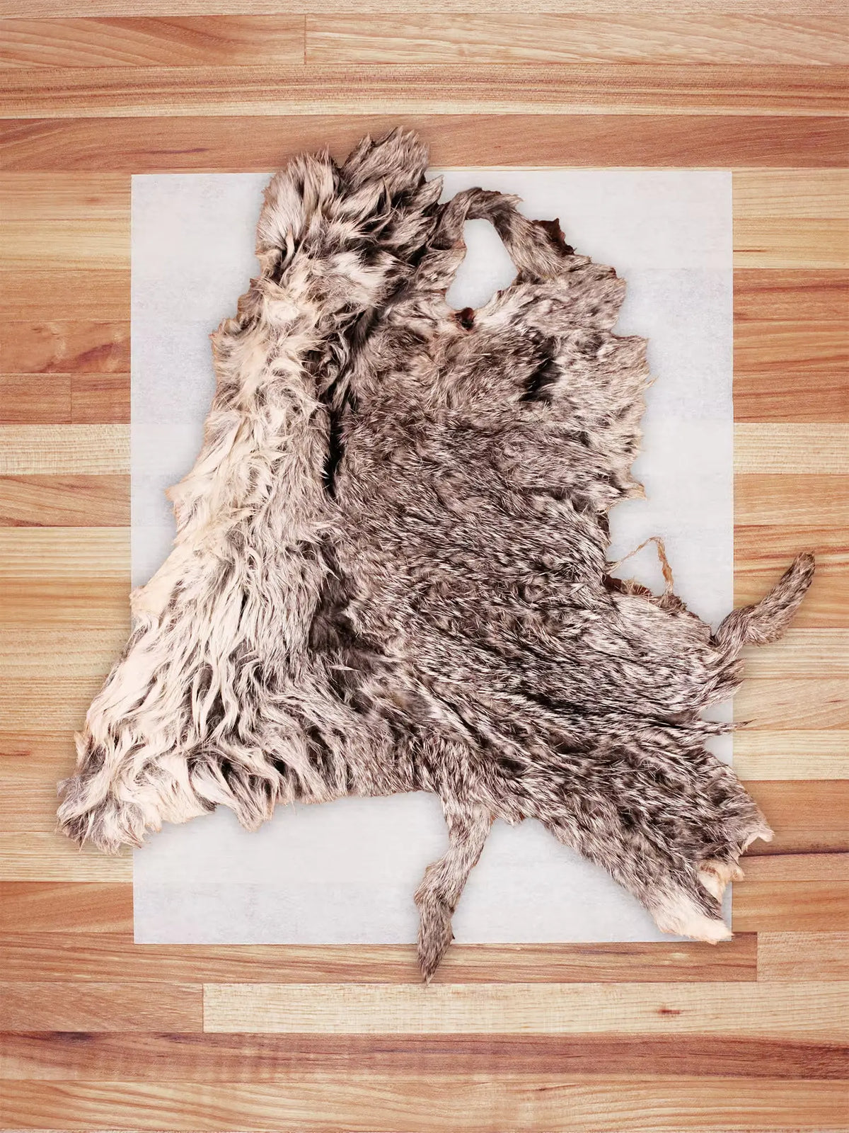 Whole Rabbit Hide (Hairy)