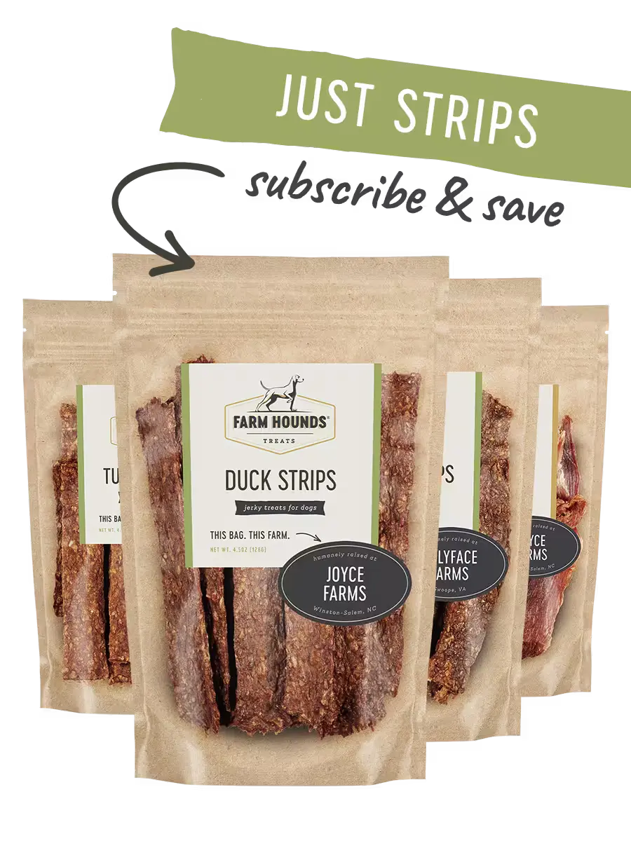 Just Strips Box