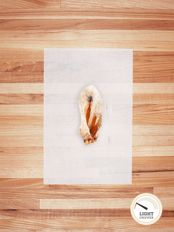 Lamb Ears with Hair