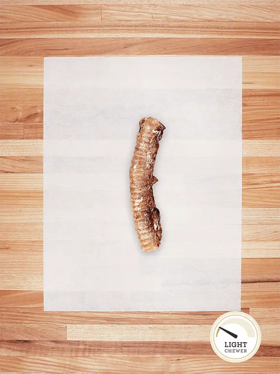 Lamb Trachea
