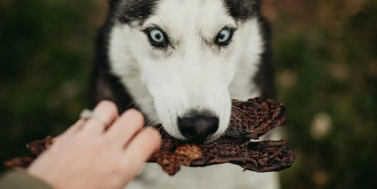 How to Read a Dog Treat Label Like a Pro Farm Hounds