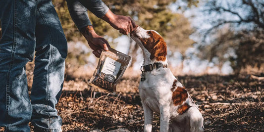 Best Dog Treats: A Vet-Style Guide to Safer Picks Farm Hounds