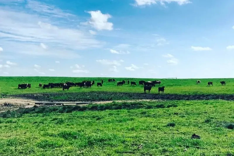 HERO Farms Farm Hounds