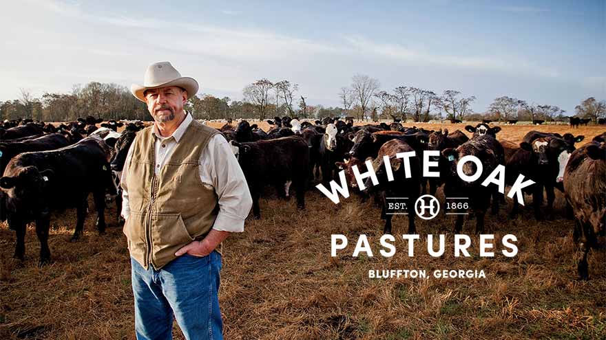 White Oak Pastures: Radically Traditional Farming