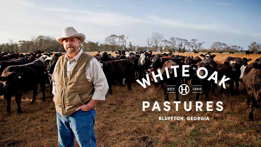 White Oak Pastures: Radically Traditional Farming Farm Hounds