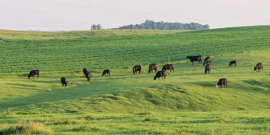 American Farmers Network Farm Hounds