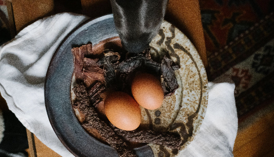 dog taste buds numbers smell