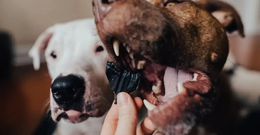 Organ Treats Farm Hounds