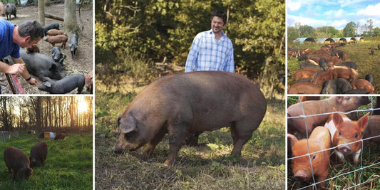 Gunthorp Farms