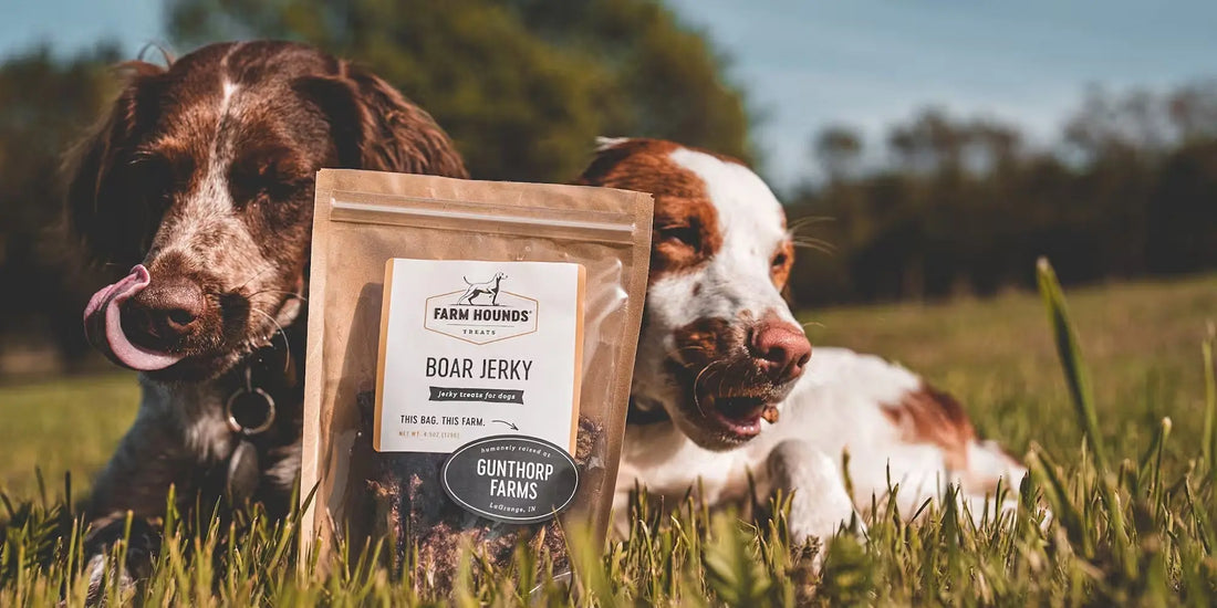 two dogs in a grassy field with a bag of regenerative farm dog treats