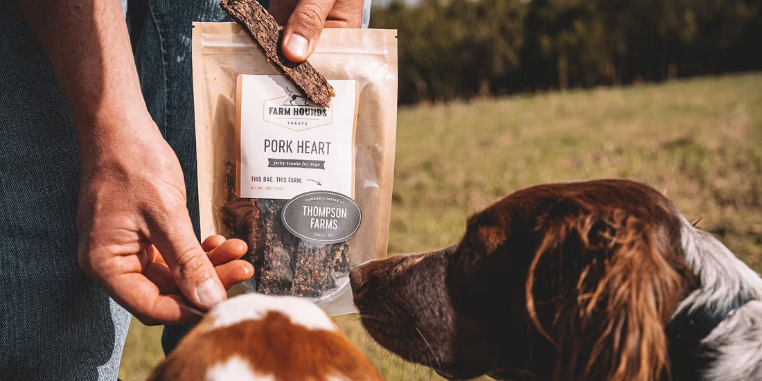 man feeding two dogs from a bag of single-ingredient pork heart dog treats