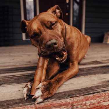 Our Top Selling Products - Farm Hounds
