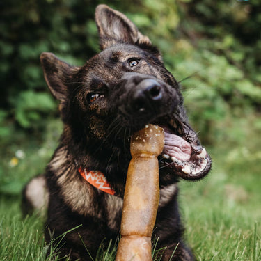 best sellers | Farm Hounds
