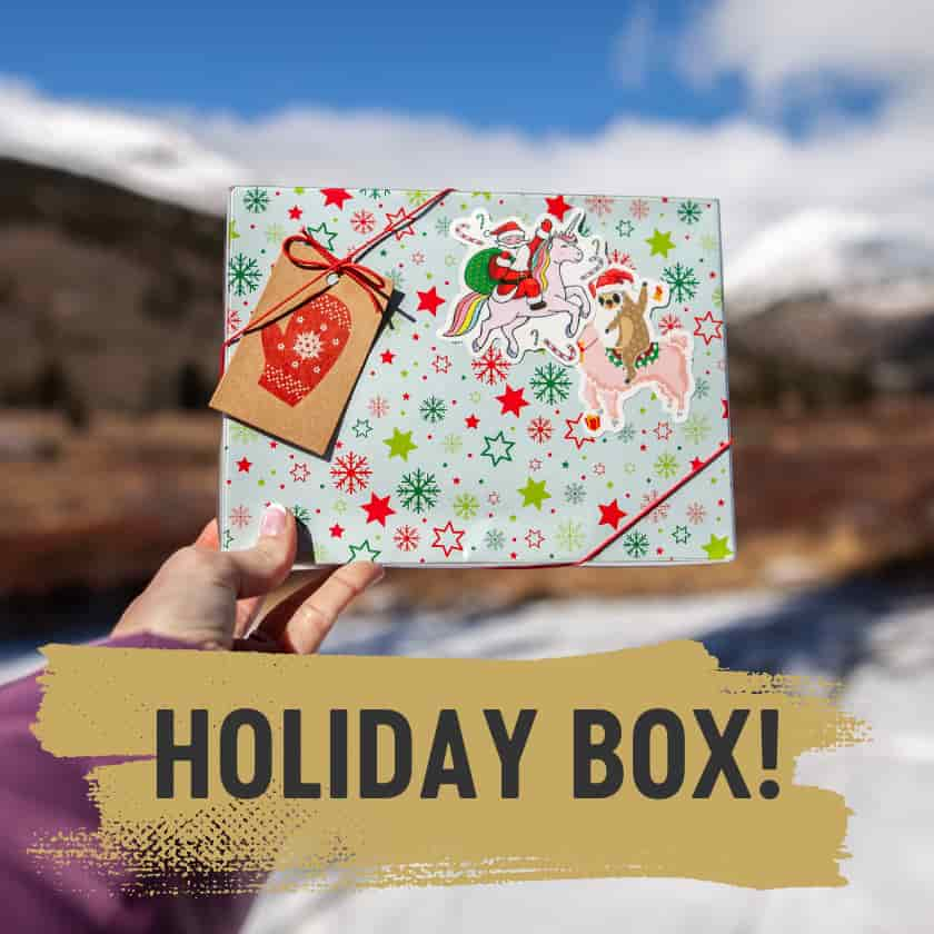 gift-wrapped holiday box in front of a snowy winter background