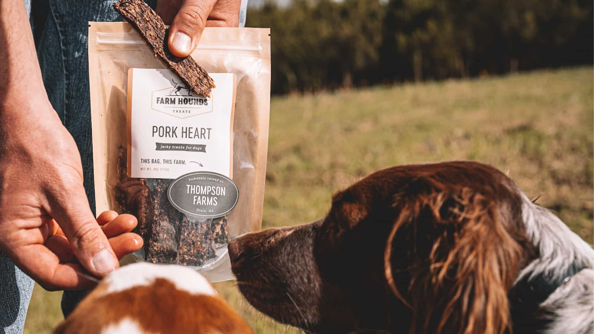 a man holding a bag of pork heart treats and feeding his two spaniels