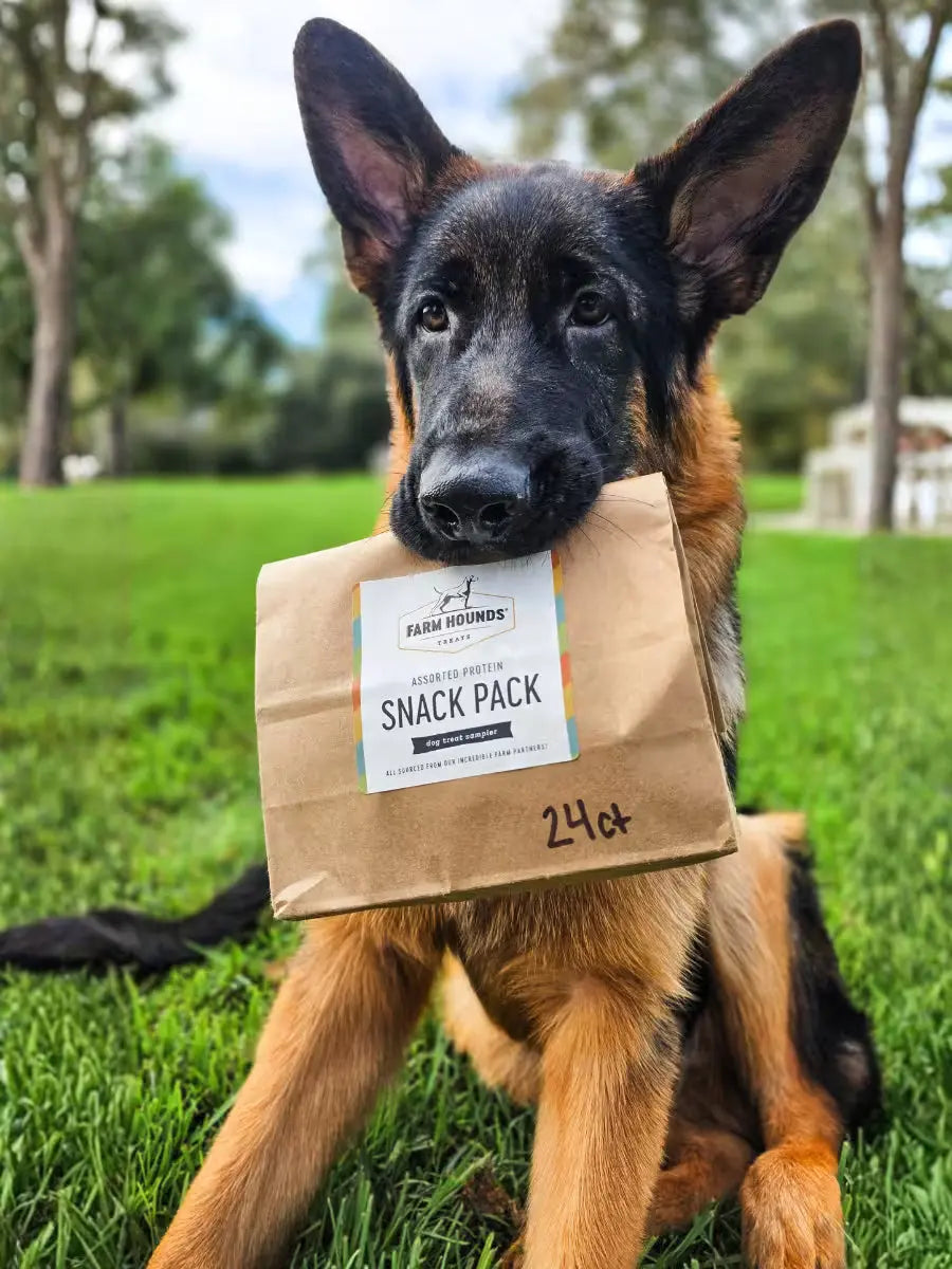 Variety Sample Pack Farm Hounds