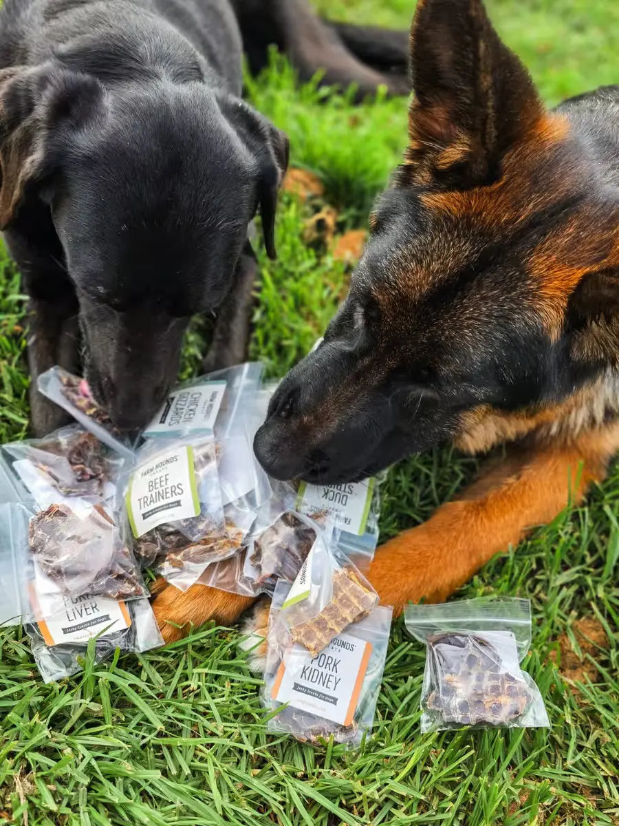 Variety Sample Pack Farm Hounds
