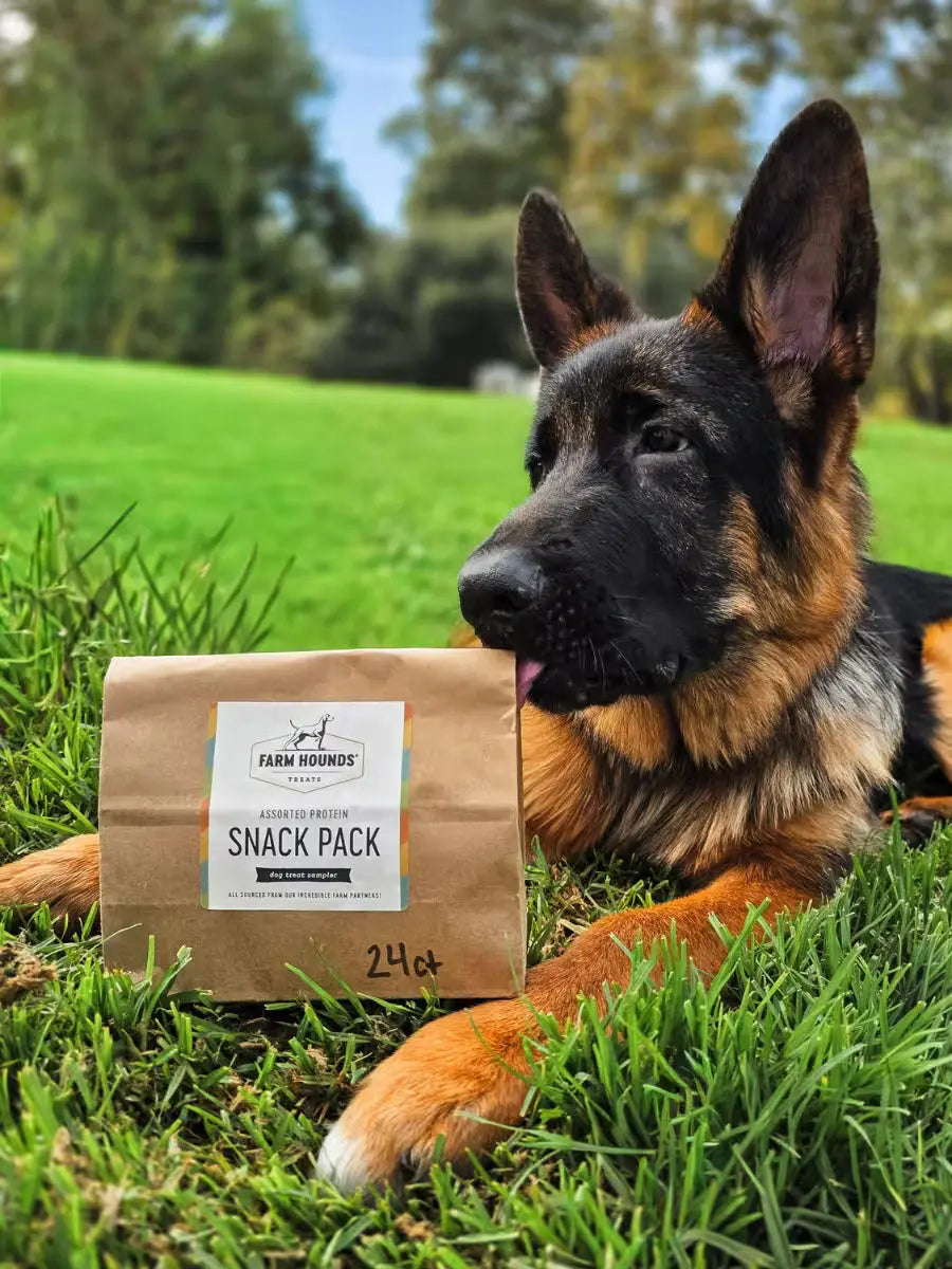Variety Sample Pack Farm Hounds