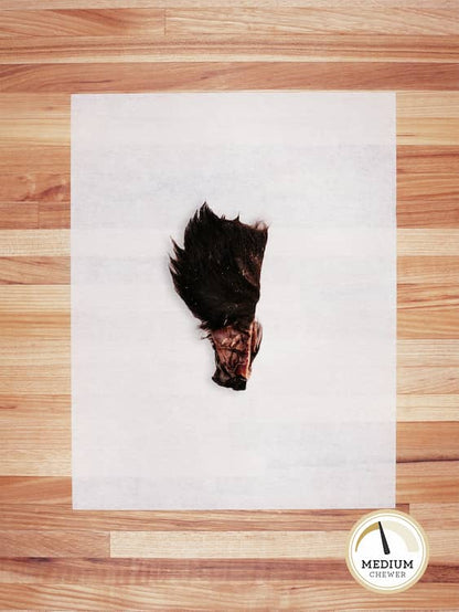 a scrap piece of beef ear with hair on a butcher block countertop