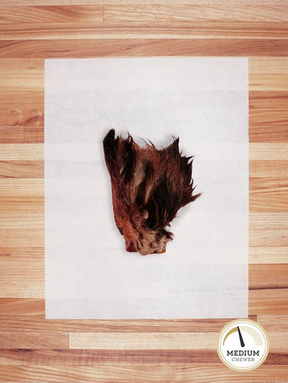 one scrap piece of beef ear with brown hair on a butcher block countertop