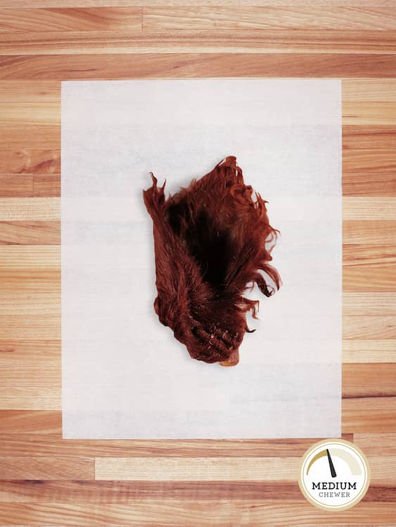 one scrap piece of beef ear with brown hair on a butcher block countertop