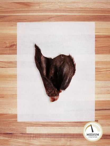 one scrap piece of beef ear with brown hair on a butcher block countertop