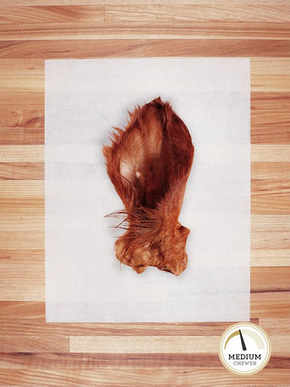 one beef ear with brown hair on a butcher block countertop