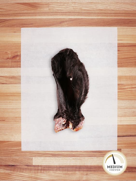 one beef ear with black hair on a butcher block countertop