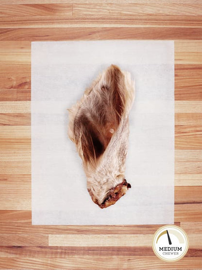 one beef ear with white hair on a butcher block countertop