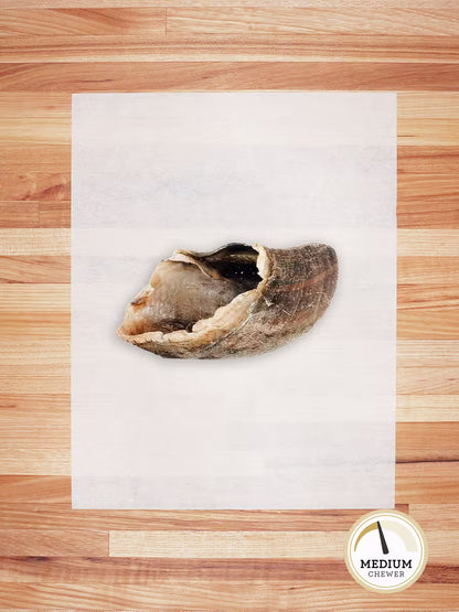Beef Hoof