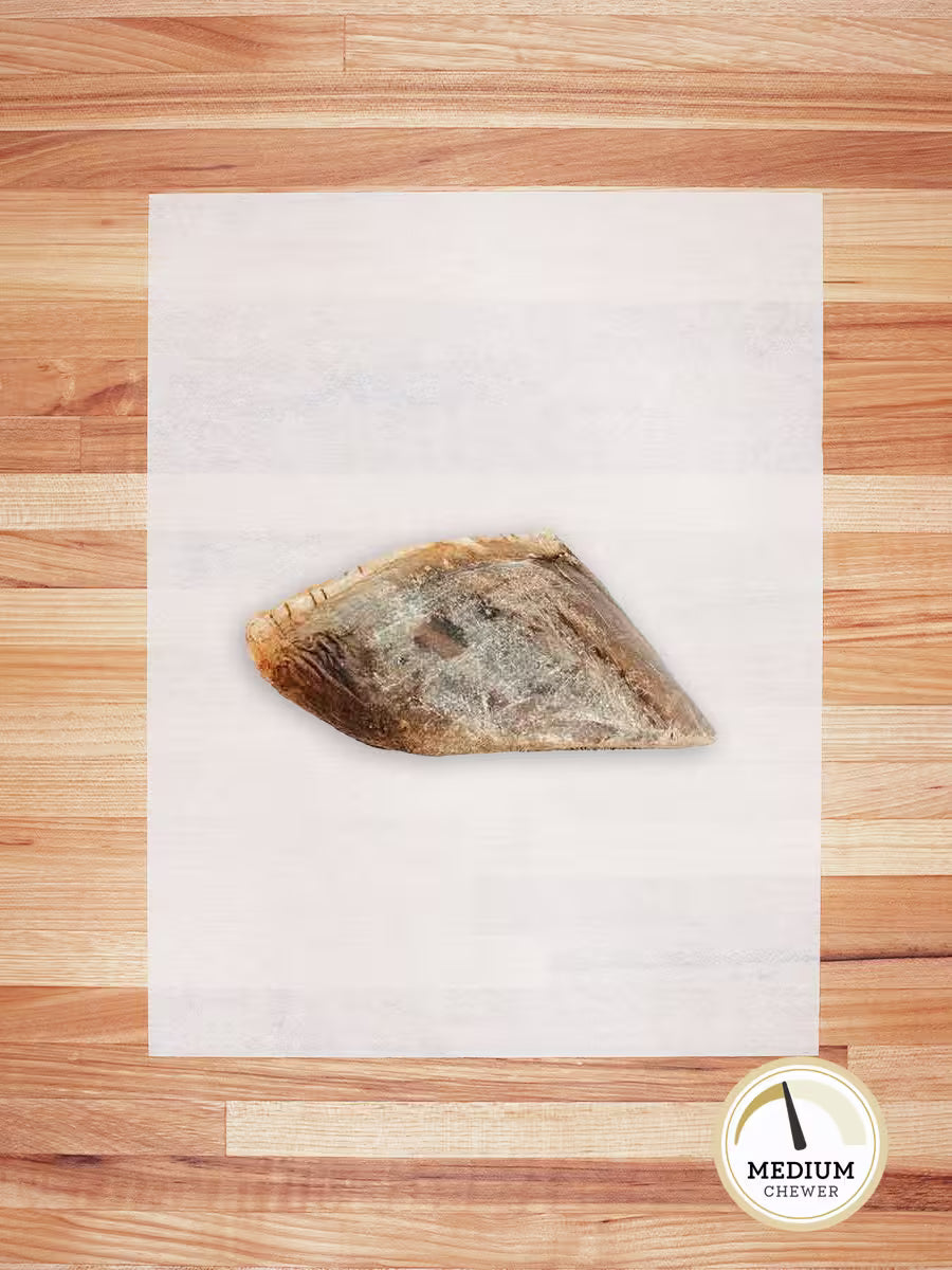 Beef Hoof