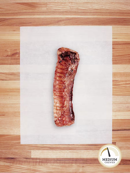 Beef Trachea Large (6"-7")