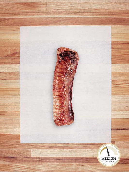 one 6 inch piece of beef trachea on a butcher block countertop