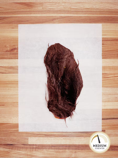 Bison Ear (Hairy)