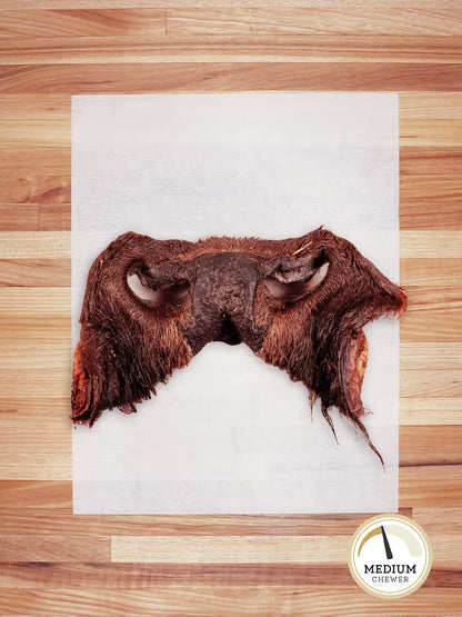 Bison Snout (Hairy)