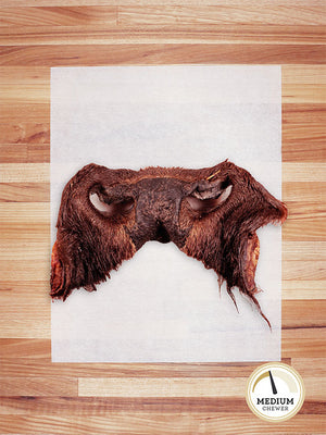 Bison Snout (Hairy)