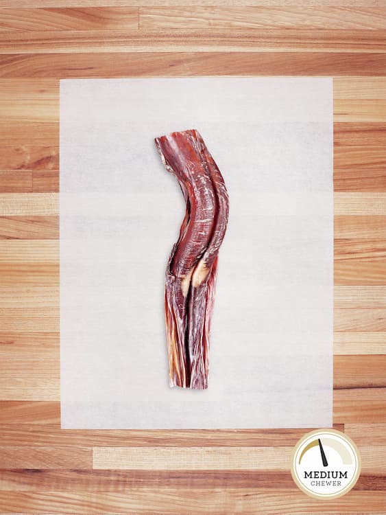 one standard size bully stick on butcher block countertop