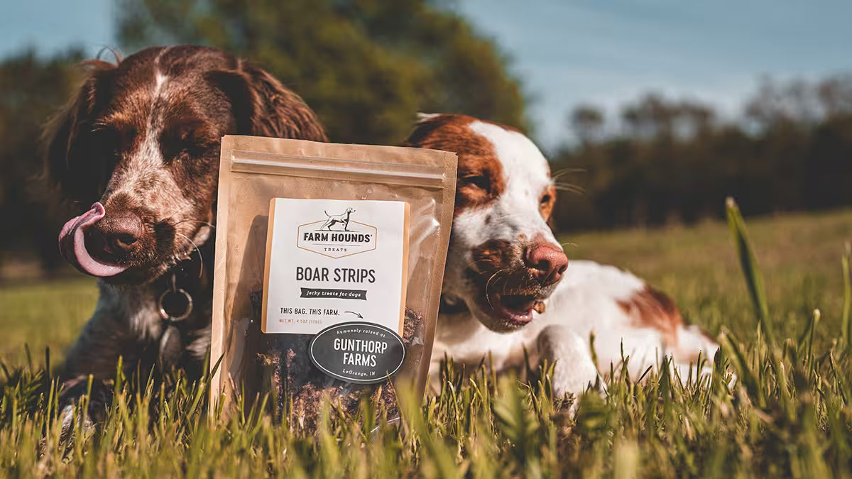 Two dogs lying in grass outdoors with a bag of Farm Hounds Boar Strips dog treats in front of them. 