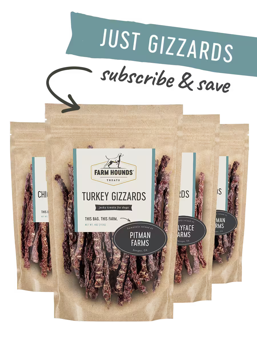 Just Gizzard Sticks Box