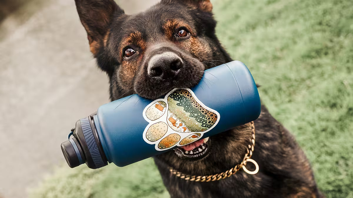 A blue water bottle with a paw-print shaped earth day sticker, held in the mouth of a German Shepherd dog on a green grassy field.