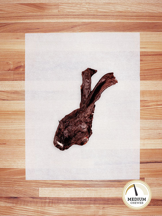 brown rabbit head on a butcher block countertop