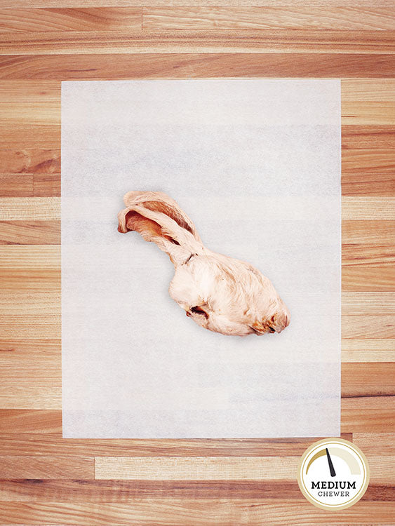 white rabbit head on a butcher block countertop