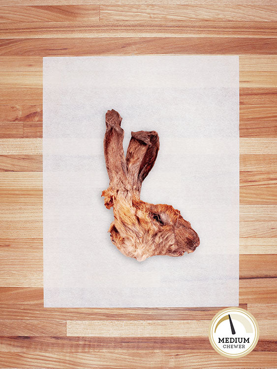 light brown rabbit head on a butcher block countertop